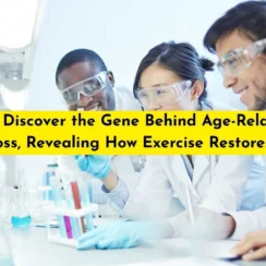 Scientists Discover the Gene Behind Age-Related Muscle Loss, Revealing How Exercise Restores Strength