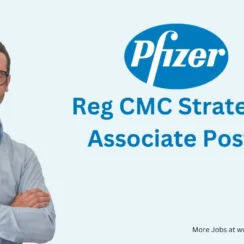 Work as Reg CMC Strategy Associate at Pfizer