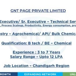GNT Page Private Limited Recruitment 2026: Technical Services Jobs
